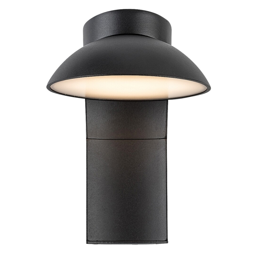 Rabalux - LED Vanjska zidna svjetiljka LED/12W/230V IP54