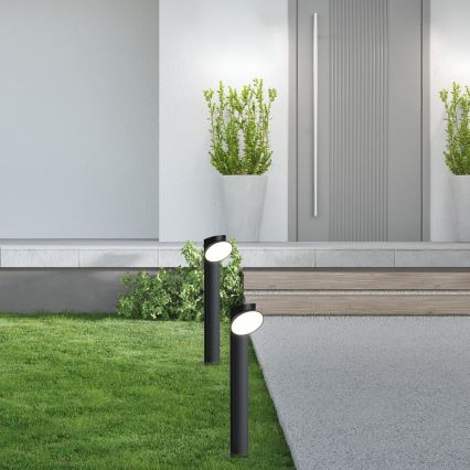 Rabalux - LED Vanjska lampa LED/12W/230V IP54