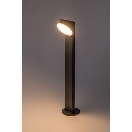 Rabalux - LED Vanjska lampa LED/12W/230V IP54