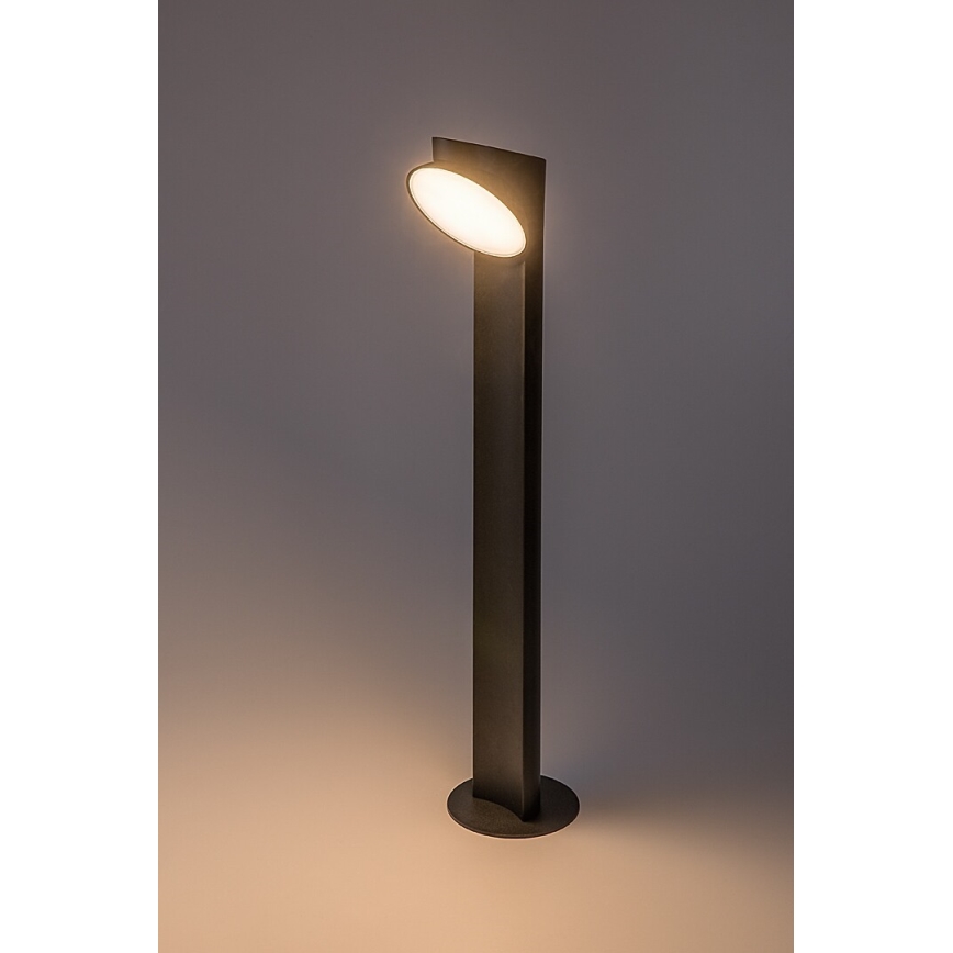 Rabalux - LED Vanjska lampa LED/12W/230V IP54