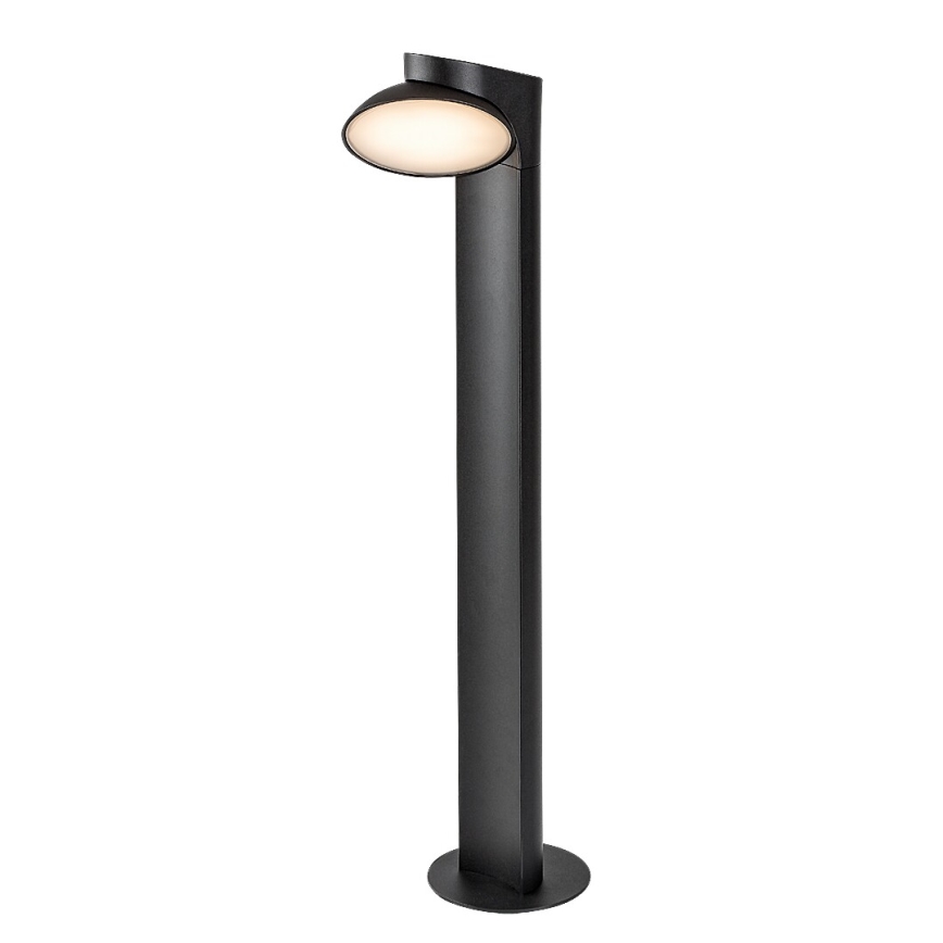 Rabalux - LED Vanjska lampa LED/12W/230V IP54