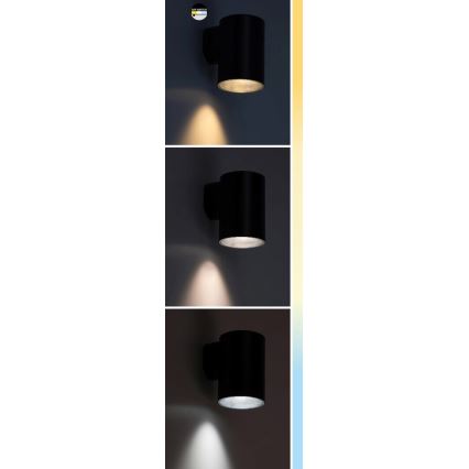 Rabalux - LED Vanjska zidna svjetiljka LED/18W/230V 2700/4000/6500K IP65 crna