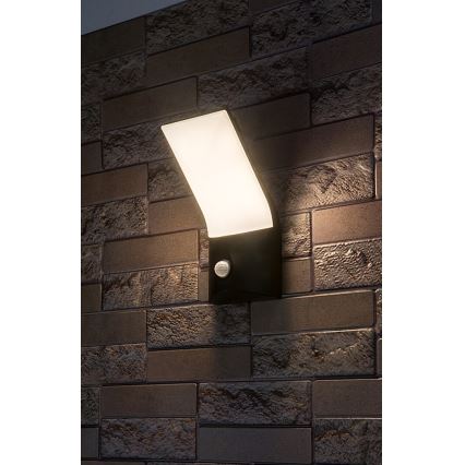 Rabalux - LED Vanjska zidna svjetiljka sa senzorom LED/10W/230V IP54
