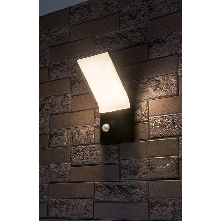 Rabalux - LED Vanjska zidna svjetiljka sa senzorom LED/10W/230V IP54