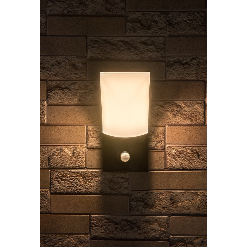 Rabalux - LED Vanjska zidna svjetiljka sa senzorom LED/10W/230V IP54