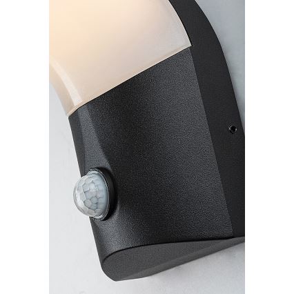 Rabalux - LED Vanjska zidna svjetiljka sa senzorom LED/10W/230V IP54