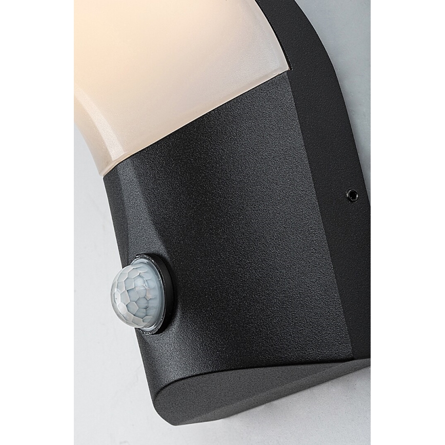 Rabalux - LED Vanjska zidna svjetiljka sa senzorom LED/10W/230V IP54