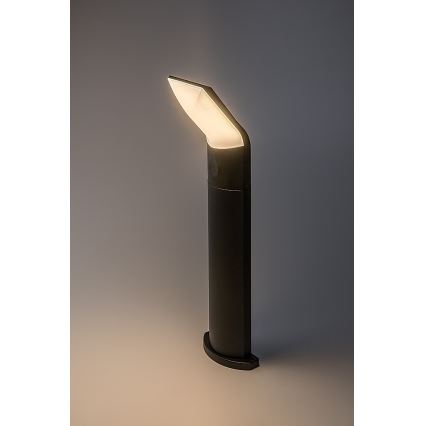 Rabalux - LED Vanjska lampa LED/10W/230V IP54