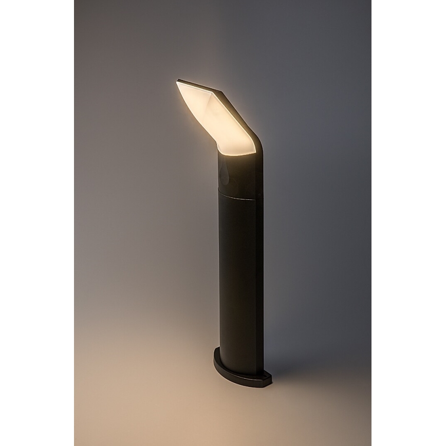 Rabalux - LED Vanjska lampa LED/10W/230V IP54