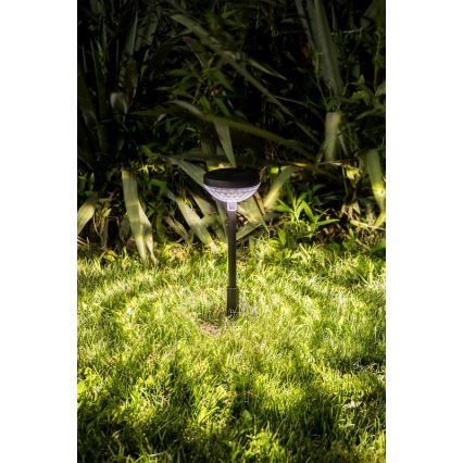Rabalux - LED RGB Solarno svjetlo LED/0,1W/1,2V 600mAh IP44