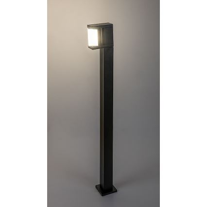 Rabalux - LED Vanjska lampa LED/10W/230V IP54