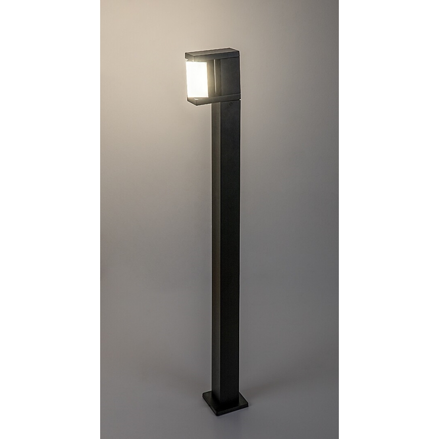 Rabalux - LED Vanjska lampa LED/10W/230V IP54