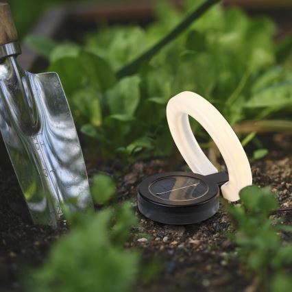 Rabalux - LED Solarna svjetiljka LED/0,05W/1,2V IP44 300 mAh