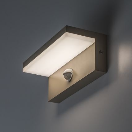 Rabalux - LED vanjsko zidno svjetlo s senzorom LED/9W/230V IP54 bež