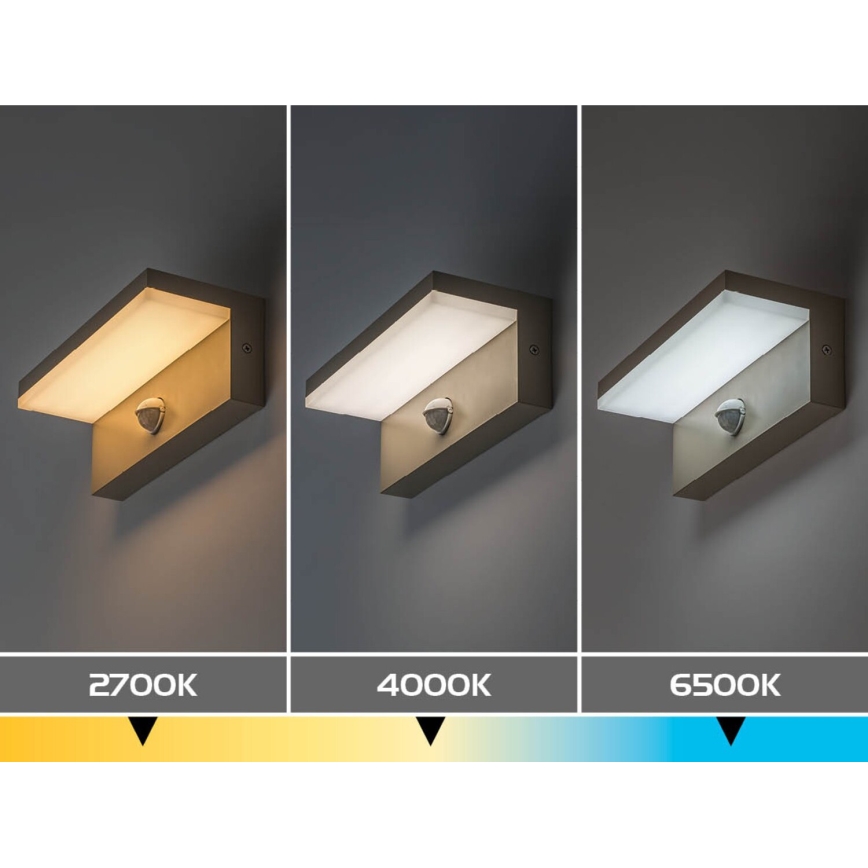 Rabalux - LED vanjsko zidno svjetlo s senzorom LED/9W/230V IP54 bež