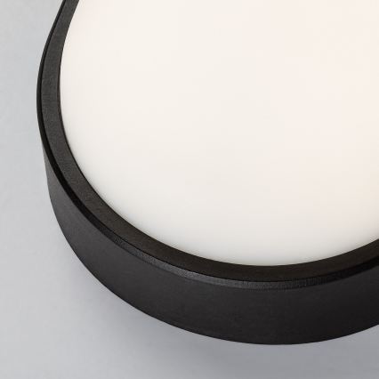Rabalux - LED Vanjsko zidno svjetlo LED/14W/230V IP54 crna