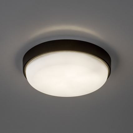 Rabalux - LED Vanjska stropna svjetiljka LED/14W/230V IP54 crna