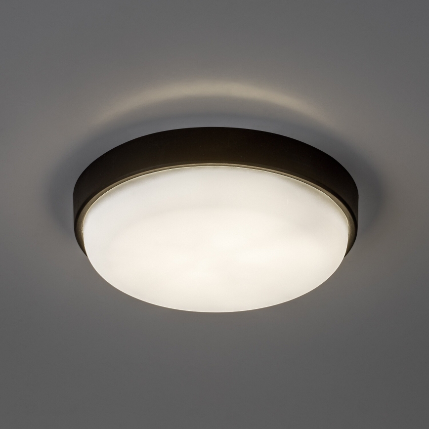 Rabalux - LED Vanjska stropna svjetiljka LED/14W/230V IP54 crna