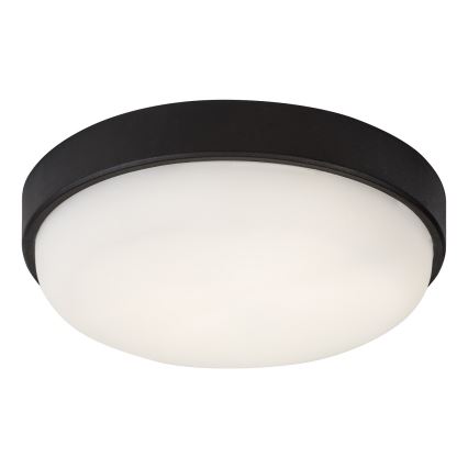 Rabalux - LED Vanjska stropna svjetiljka LED/14W/230V IP54 crna