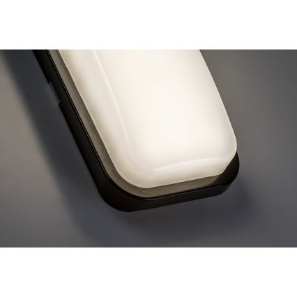 Rabalux - LED vanjsko zidno svjetlo LED/15W/230V 4000K IP65