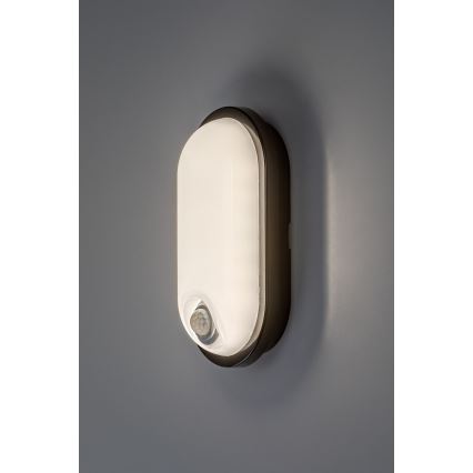 Rabalux - LED vanjsko stropno svjetlo sa senzorom LED/15W/230V IP65 crno