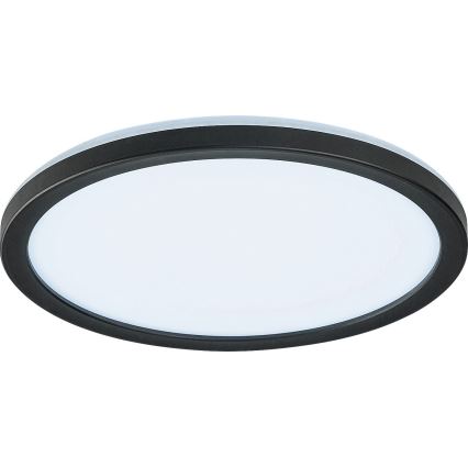Rabalux - Prigušivo vanjsko stropno LED svjetlo LED/15W/230V Wi-Fi Tuya 2700-6500K IP44 + daljinski upravljač