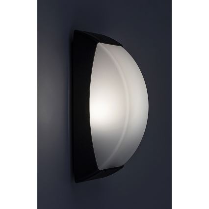 Rabalux - Vanjsko zidno svjetlo 1xE27/12W/230V IP65