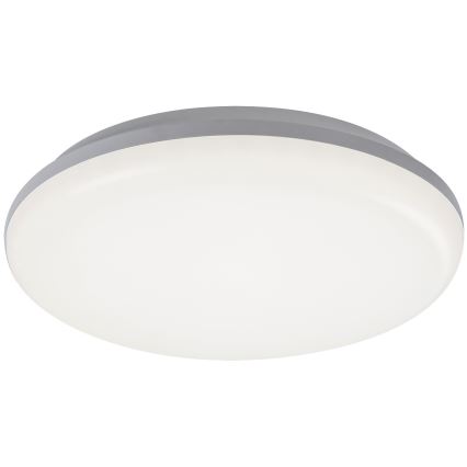 Rabalux - LED Vanjska stropna svjetiljka LED/24W/230V IP64