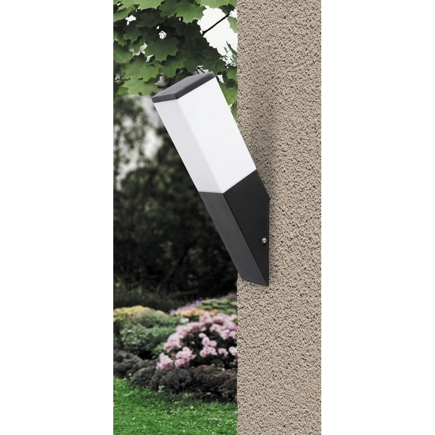 Rabalux - Vanjska zidna svjetiljka 1xE27/60W/230V IP44