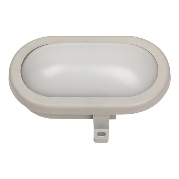 Rabalux 8694 - Vanjska zidna svjetiljka MUMBAI 1xLED/7W/230V IP44