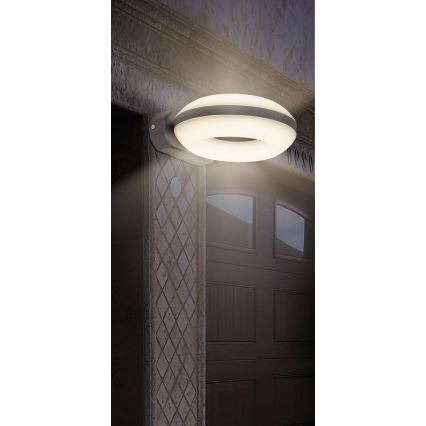 Rabalux 8770 - LED Vanjska zidna svjetiljka GRAZ 1xLED/12W IP54