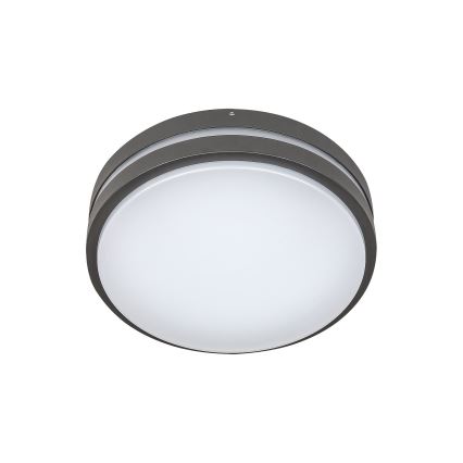 Rabalux - LED Vanjsko zidno svjetlo HAMBURG LED/10W/230V IP44