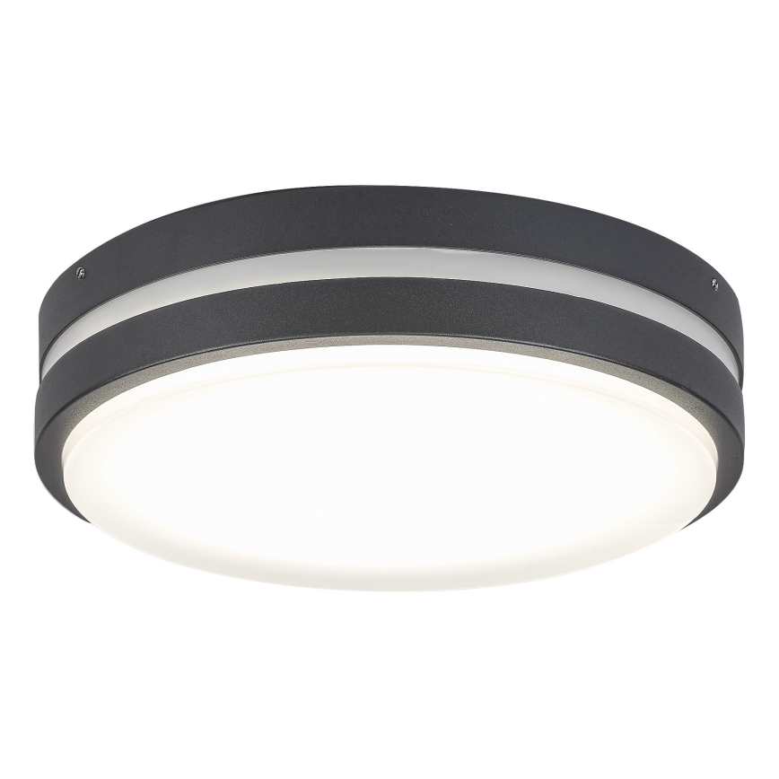 Rabalux 8848 - LED Vanjska zidna svjetiljka HAMBURG LED/12W/230V IP44
