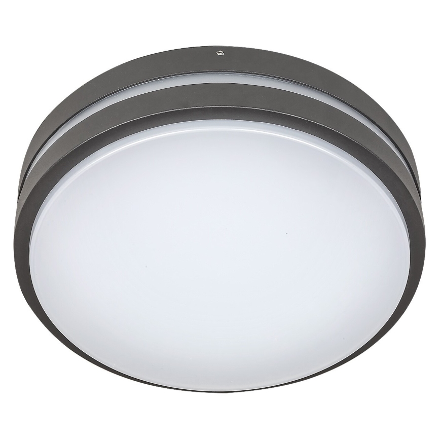 Rabalux 8848 - LED Vanjska zidna svjetiljka HAMBURG LED/12W/230V IP44
