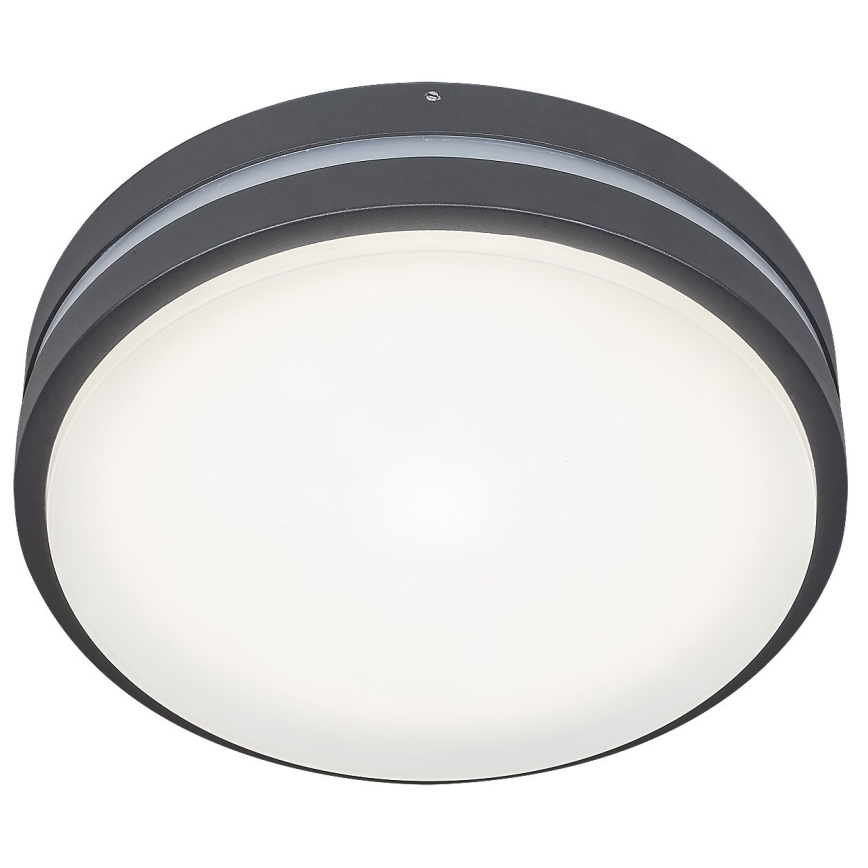 Rabalux 8848 - LED Vanjska zidna svjetiljka HAMBURG LED/12W/230V IP44