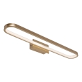 Rabalux - LED kupaonska rasvjeta za ogledalo LED/18W/230V IP44 60 cm