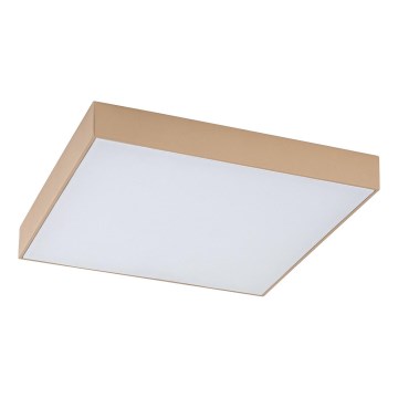 Rabalux - LED Kupaonsko stropno svjetlo LED/24W/230V 2800/4000/6000K IP44