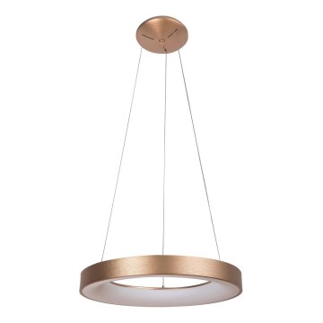 Rabalux - LED Luster na sajli CARMELLA LED/50W/230V pr. 60 cm