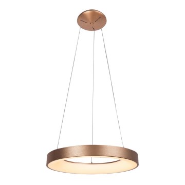 Rabalux - LED luster na sajli CARMELLA LED/80W/230V