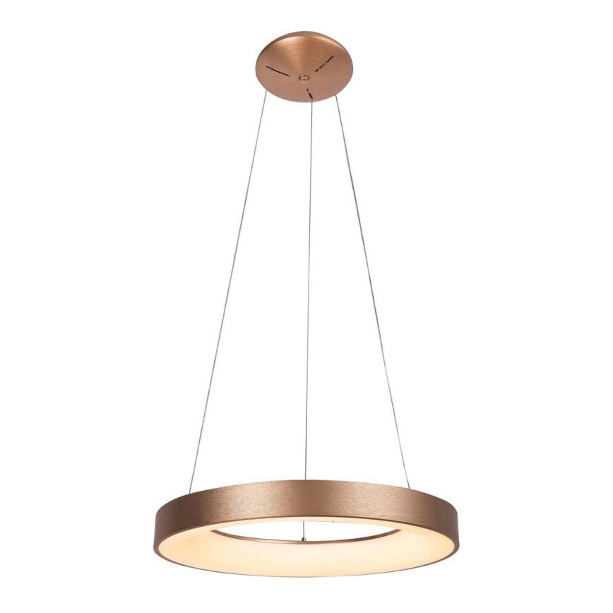 Rabalux - LED luster na sajli CARMELLA LED/80W/230V