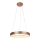 Rabalux - LED luster na sajli CARMELLA LED/80W/230V