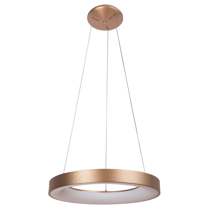 Rabalux - LED luster na sajli CARMELLA LED/80W/230V