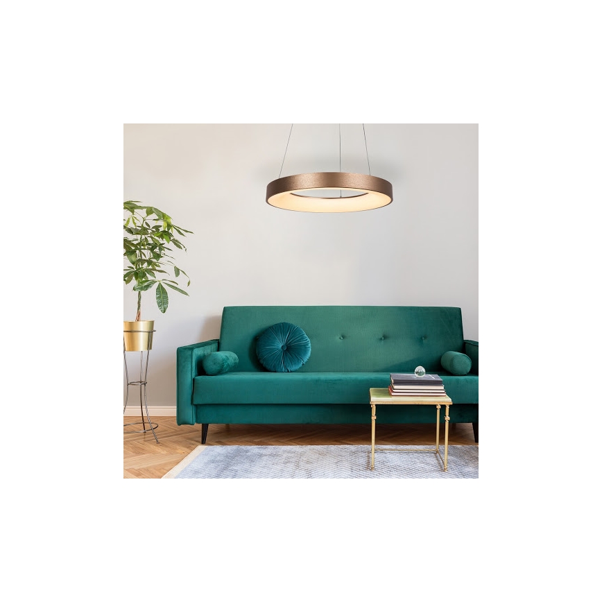 Rabalux - LED luster na sajli CARMELLA LED/80W/230V