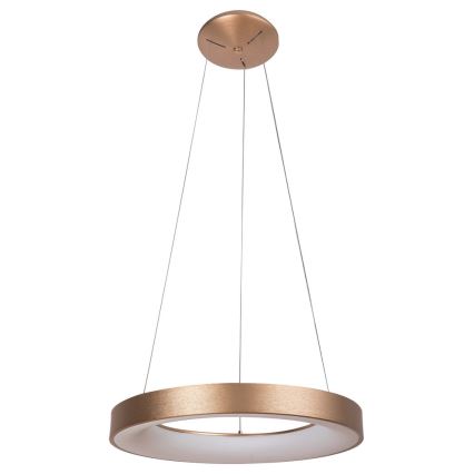 Rabalux - LED Luster na sajli CARMELLA LED/80W/230V pr. 80 cm
