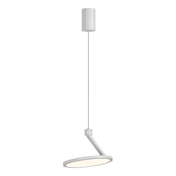 Rabalux - LED Luster na sajli LED/20W/230V bijela