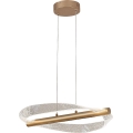 Rabalux - LED luster na sajli LED/24W/230V 3000K