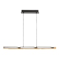 Rabalux - LED Luster na sajli LED/30W/230V 3000K