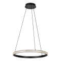 Rabalux - LED Luster na sajli LED/32W/230V 3000K