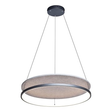 Rabalux - LED Luster na sajli LED/40W/230V 3000/4000K