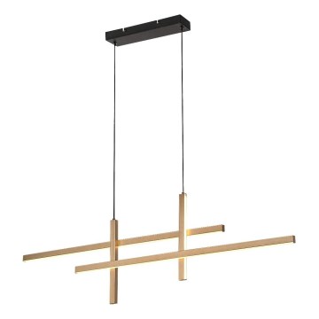 Rabalux - LED Luster na sajli LED/40W/230V 3000K